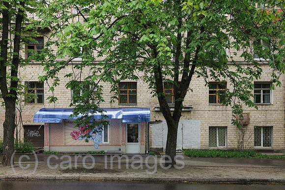00P190428D745CAROEX.JPG