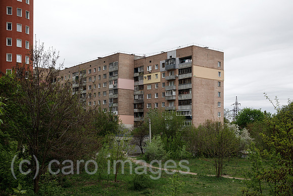 00P190429D809CAROEX.JPG