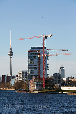 00R200205D076CAROEX.JPG
