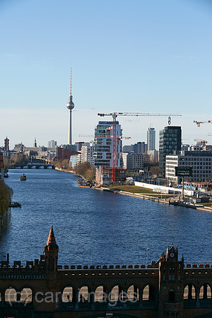 00R200205D053CAROEX.JPG