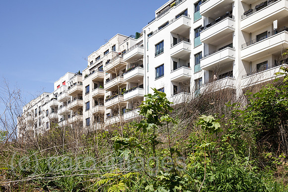 00P190512D822CAROEX.JPG
