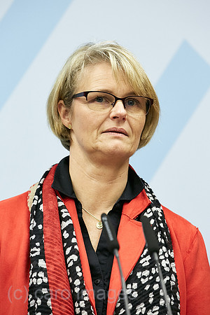 00R200211D071CAROEX.JPG