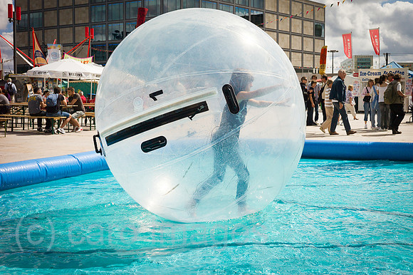 00Y100816D004CARO.JPG