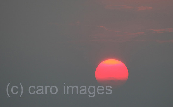 0BS090920D005CARO.JPG