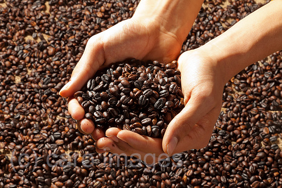 0BG130114D011CARO.JPG