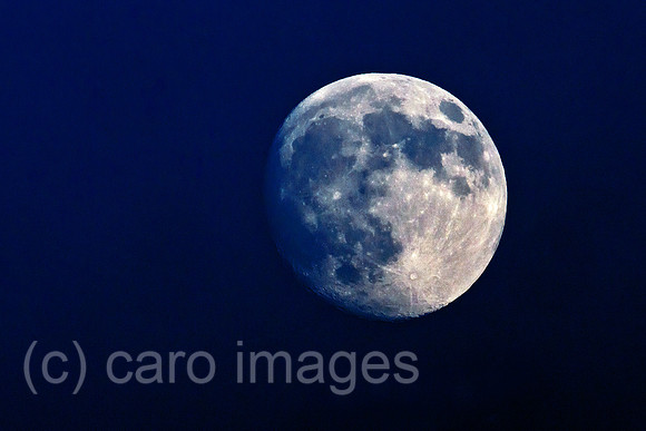 0BG130621D034CARO.JPG