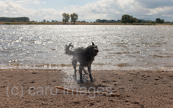 0BG120826D008CARO.JPG