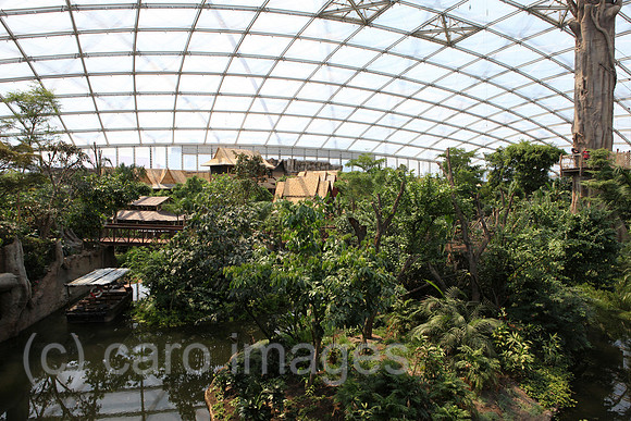 0BS110609D014CARO.JPG