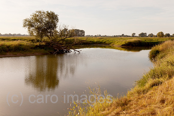 0BG120818D046CARO.JPG