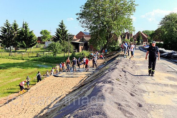 0BG130608D010CARO.JPG