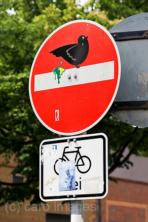 0BG130529D002CARO.JPG