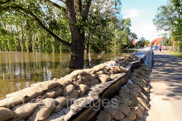 0BG130608D007CARO.JPG