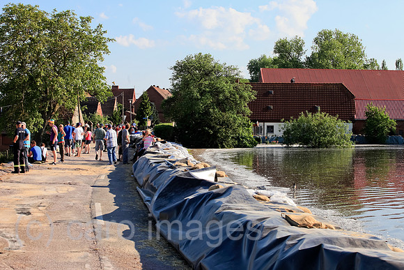 0BG130608D013CARO.JPG