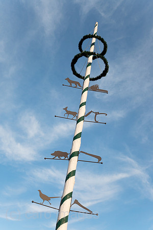 0BG121008D004CARO.JPG
