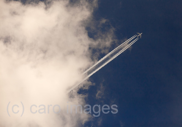 0BG120912D048CARO.JPG