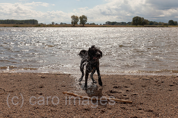 0BG120826D007CARO.JPG