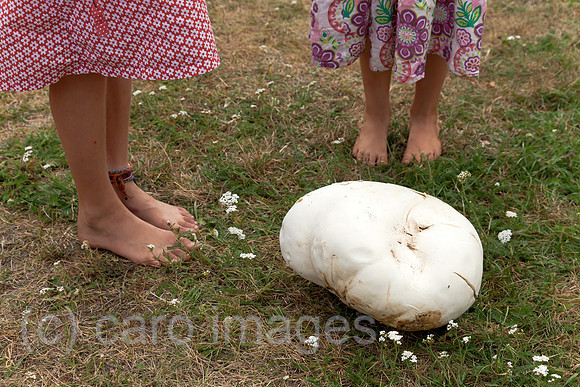 0BG120825D003CARO.JPG