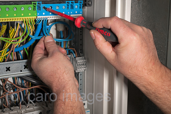 0CE100113D019CARO.JPG