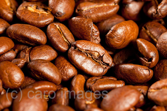0BG130115D209CARO.JPG