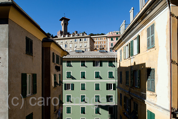 0CE091209D002CARO.JPG