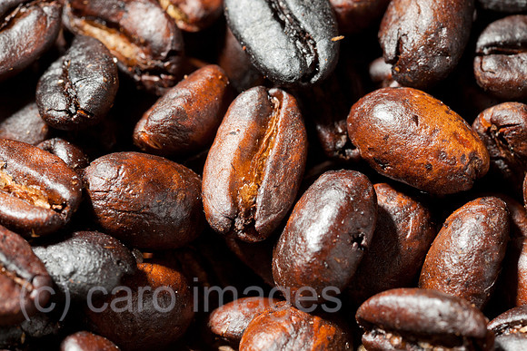 0BG130114D004CARO.JPG