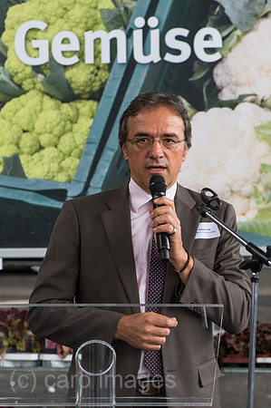 0CK120820D006CARO.JPG