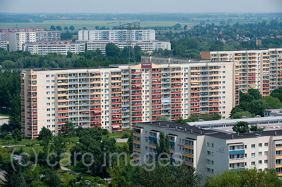 00Y100611D008CARO.JPG