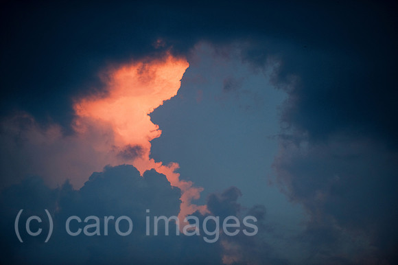 0CK100715D045CARO.JPG