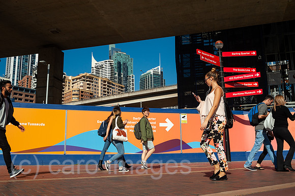 0SL180507D032CAROEX.JPG