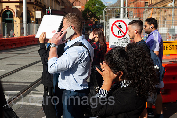 0SL180508D004CAROEX.JPG