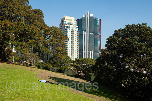 0SL180509D011CAROEX.JPG