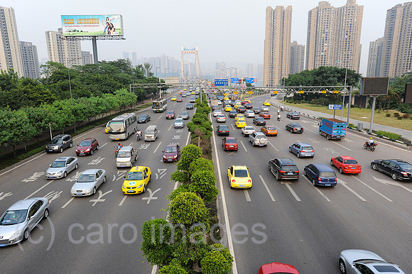 0SL120803D005CAROEX.JPG