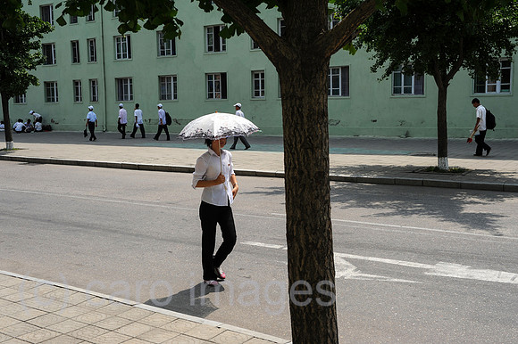 0SL120808D194CAROEX.JPG
