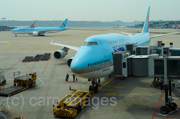 0SL130503D003CAROEX.JPG