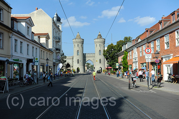 0SL140918D011CAROEX.JPG