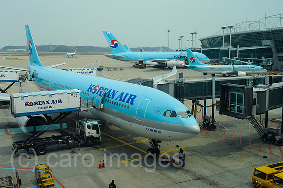 0SL130503D001CAROEX.JPG