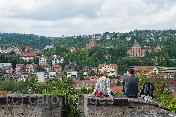 0SL170605D028CAROEX.JPG