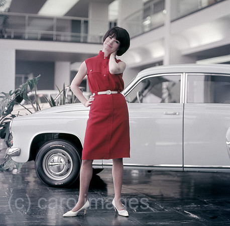 00S710120A319CAROEX.JPG