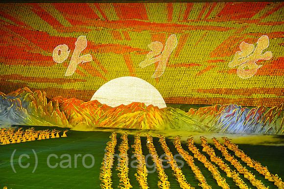 0SL120808D203CAROEX.JPG