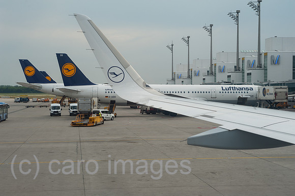 0SL170602D019CAROEX.JPG