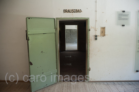 0SL170603D061CAROEX.JPG