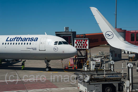 0SL170602D015CAROEX.JPG
