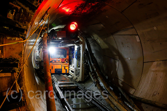 00X141120D104CAROEX.JPG