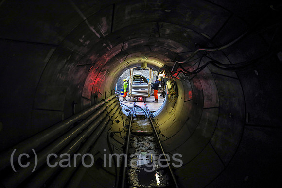 00X170310D563CAROEX.JPG