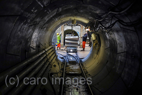 00X170310D512CAROEX.JPG