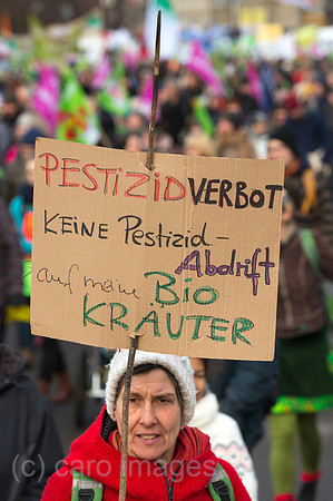 00U200118D076CAROEX.JPG