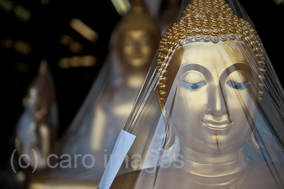 0AF110303D008CARO.JPG
