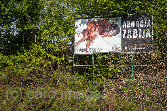 00P180429D269CAROEX.JPG