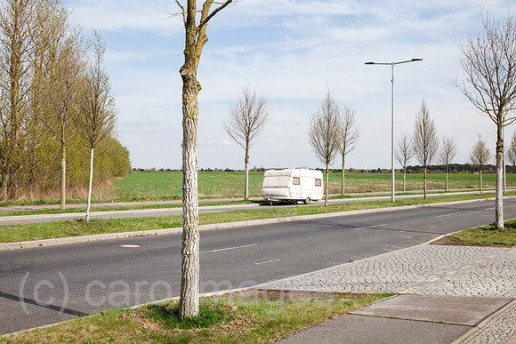 00P180415D211CAROEX.JPG