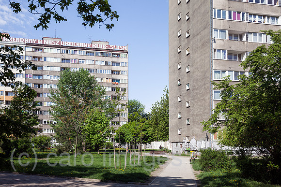 00P180428D233CAROEX.JPG